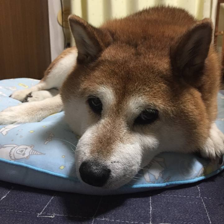 Bab39ce9 d9d2 4bb5 901d 048be54b0cc6