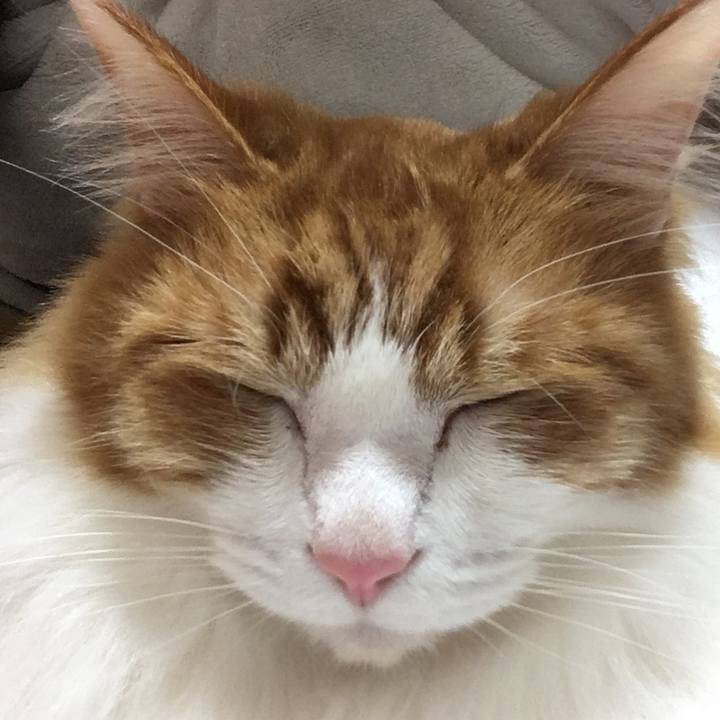 Bab42404 a890 40fb 8f70 f10b25c8ad65