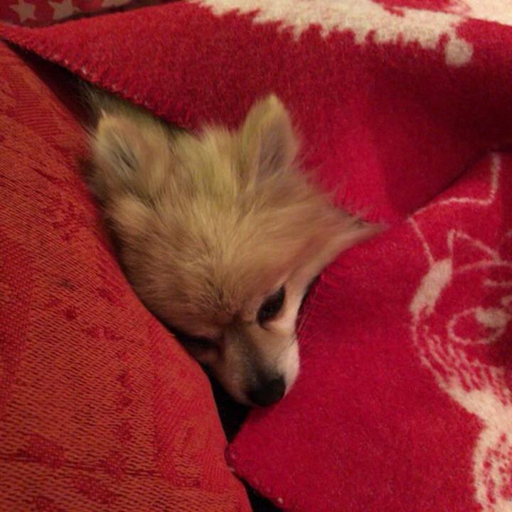 Bab4617c ca75 4eb6 88d3 c46dcaaf95a8