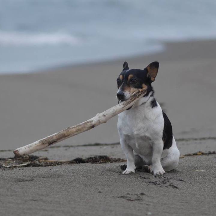 Bab49cc0 cd08 4aa4 a09a 282a97fbfc0a