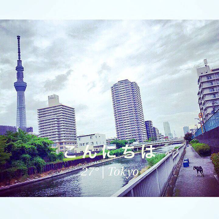 Bab576e9 d36a 4cc4 9947 26052b31a095