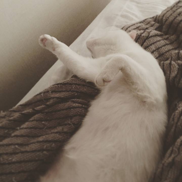 Bab661c3 a4f9 4885 88d6 067abdb8322e