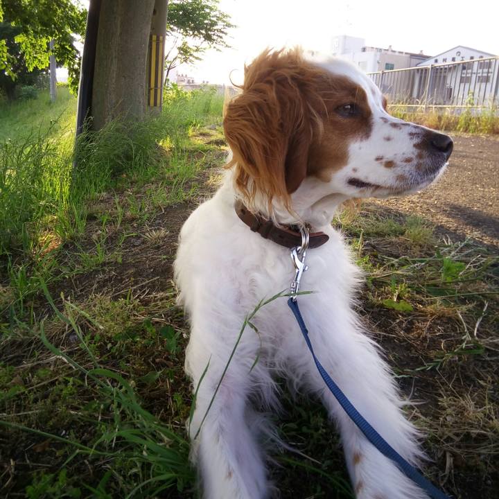 Bab6708d c189 4b52 8849 6ab54039cc32