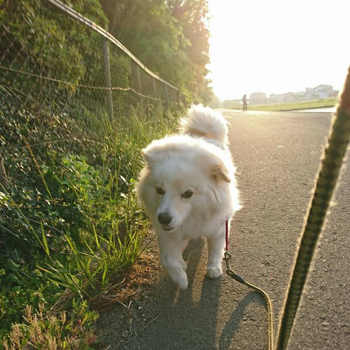 Bab6d9d8 ff0f 49af a719 7a200f4e65b6