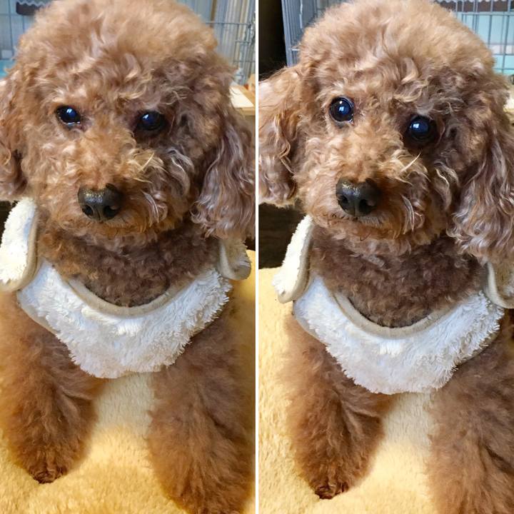 Bab6e9d4 56f4 4ab2 8d77 6f210ce62b70