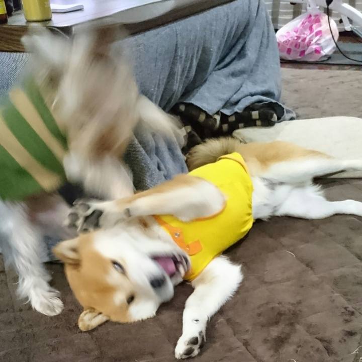 Bab79239 6e07 4774 b5b1 c3f4a3d79009