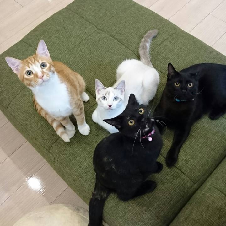 Bab7a41c 32a3 4a74 880e 44561e847f1d