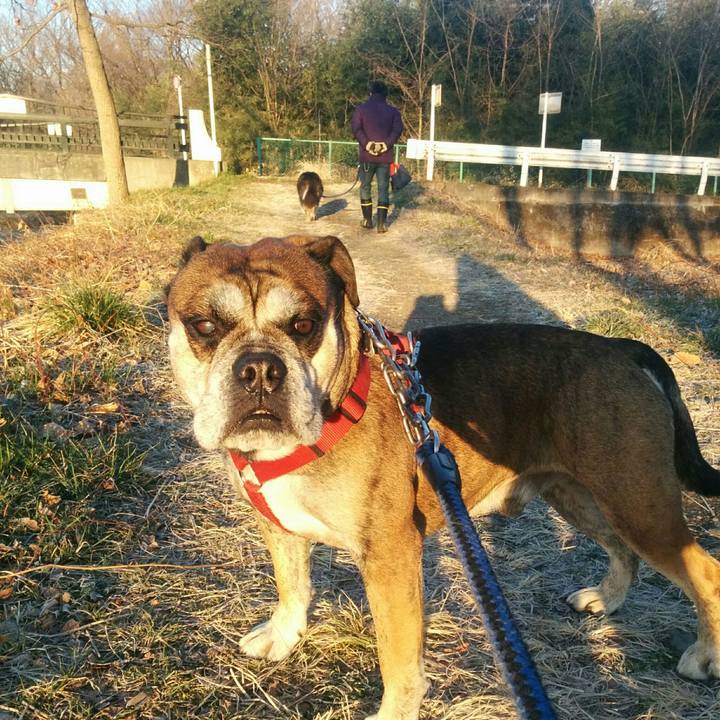 Bab7efdb 849f 415b 9484 853edac23fca