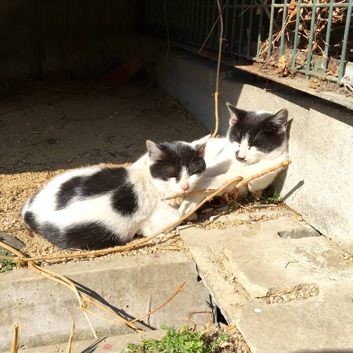 Bab83172 53c7 46d2 aebc 9f74a8426774