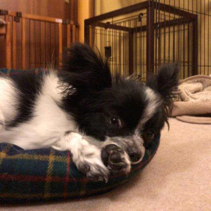 Bab8aaf7 3be8 4609 ab71 5407389afd9d