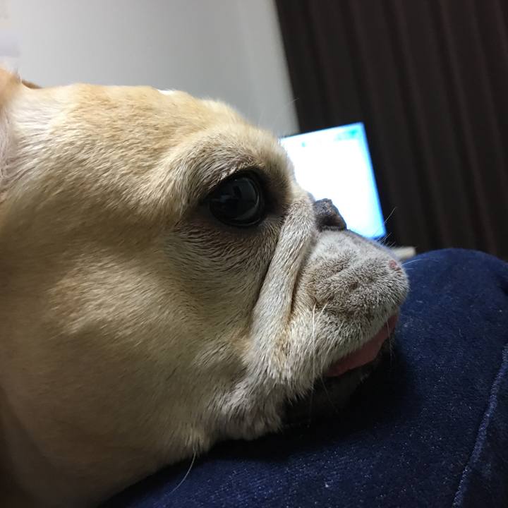 Babaf7c1 fd35 4e4d b539 04d1e8c306e6