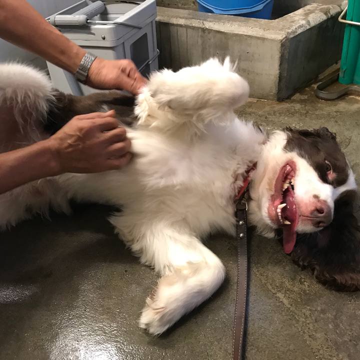 Babb0f15 7d35 487f acc4 b8e9f0c4d4b0