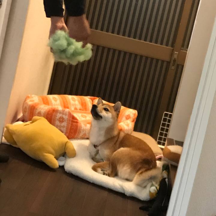 Babba13e 7533 4c82 9af9 40cd2358b56c