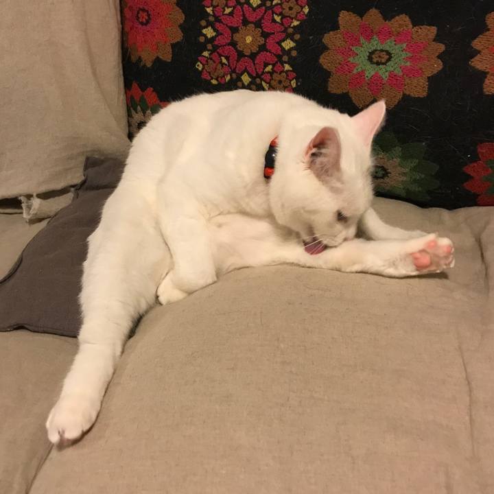 Babcdd96 aa9c 4cd2 bd3d 6b15cf75c831