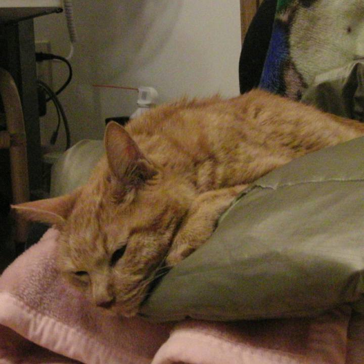 Babd7777 99d2 4b48 8422 f9dde74dbadd