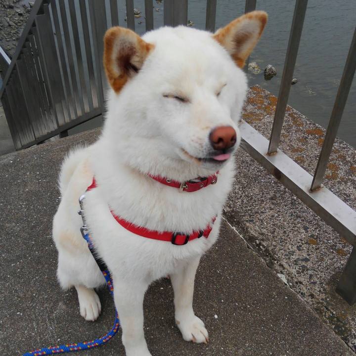 Babd7e5d fb40 4d9c 9aee cc1cffdf3772