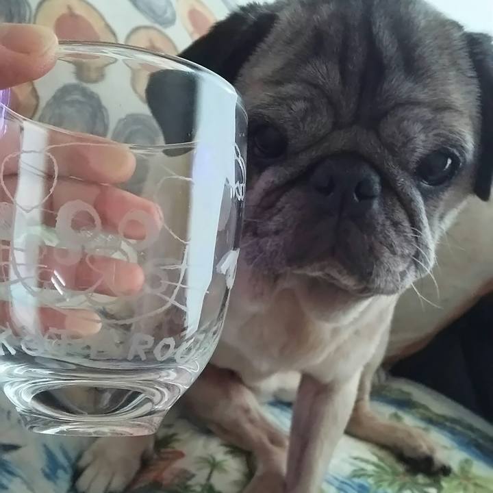 Babdbec9 16a0 4d56 b0d0 355a108608d9