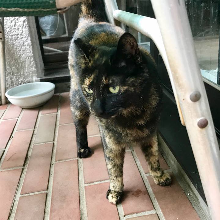 Babddbf9 557e 4c47 b69f 3220d51746d2