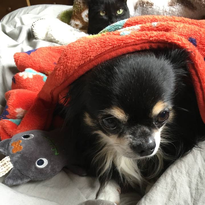 Babe18ee 1004 4a3a 8cd9 aeeffc117dfa