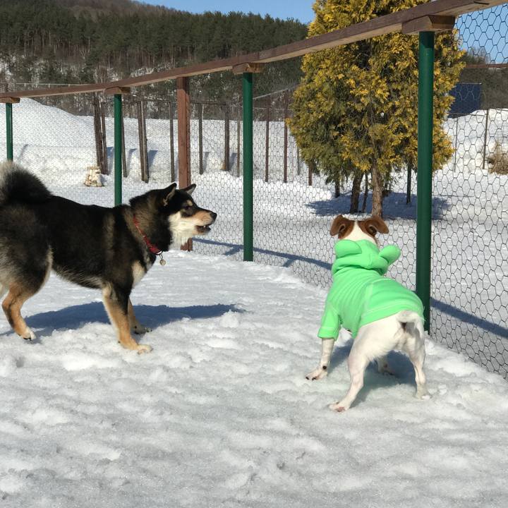 Babe41c6 104c 4bfd 97f1 641f81b3f26f