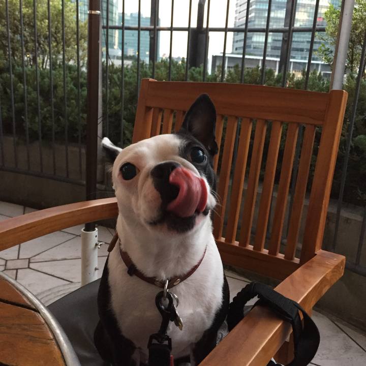 Babe8d5a 7f8e 4a0f b7f1 b0d0071312fd