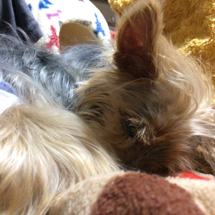 Babf3612 409f 4988 9ddb f0ccccb28e6a