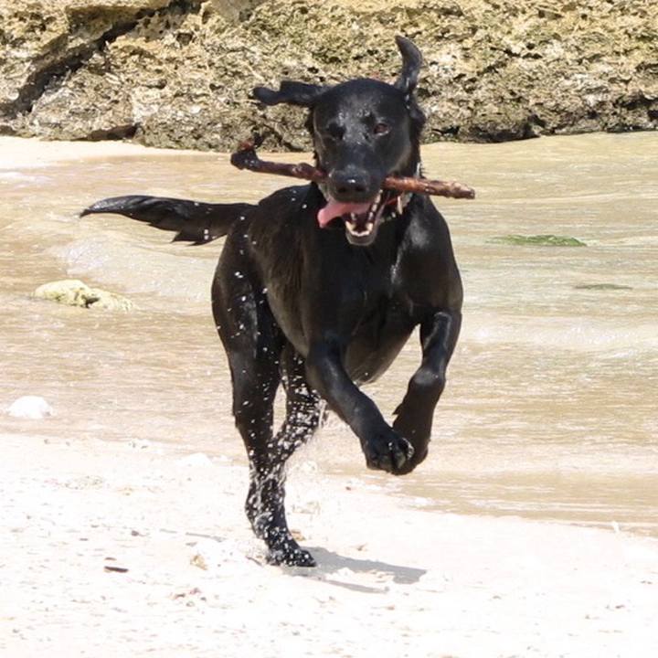 Babf676b a0d8 4c4f bb7a e425c160ba2a