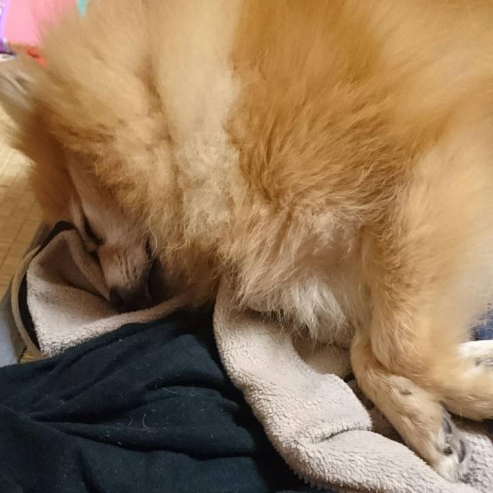 Babfbf2c ba19 4013 a781 546b0d60bfaf