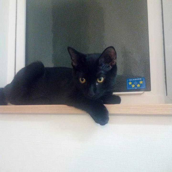 Bac06dec 8e18 43d2 9157 9c47a5ac8149