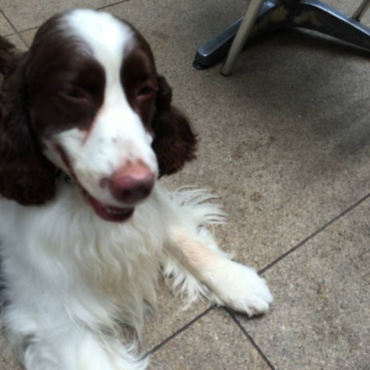 Bac1155d 954c 4606 a8b6 b71aeea470fd