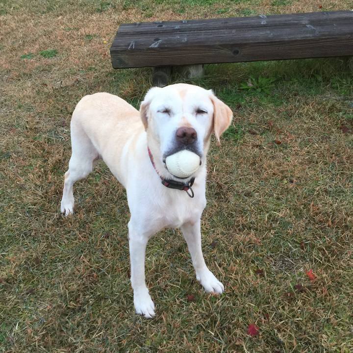 Bac123a2 c285 4681 a014 bcef000a8fb5