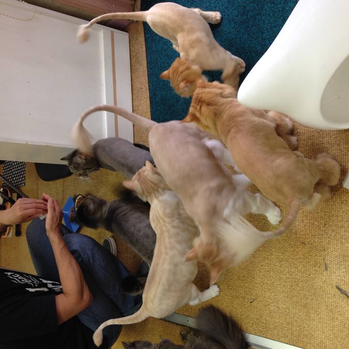 Bac1447f d0ce 472b ae78 12ba51d409dc