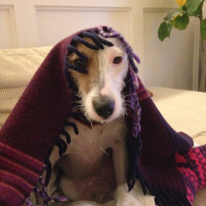 Bac17a62 3f43 4a5b bb73 596ca4a3bf75