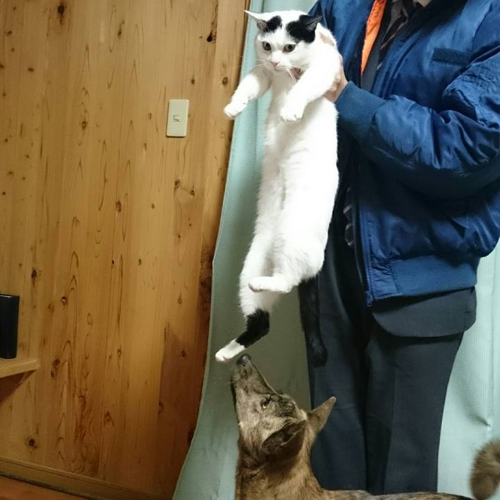 Bac1d826 483d 4742 a0dd 1daa4b6cbc49