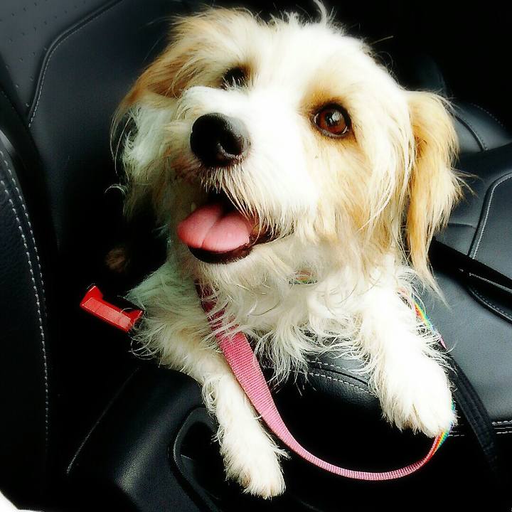 Bac294e2 52e7 4b92 b1ec bce5bf5ea64d