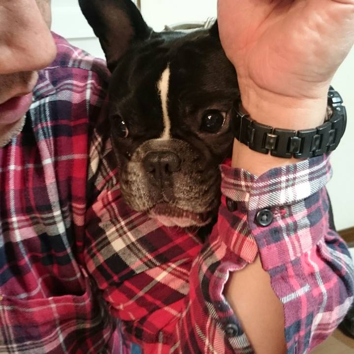 Bac2e92d 829f 404f ba82 b1ca388db91a