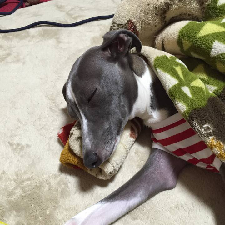 Bac3524e d43b 42bf 9897 fcf15730361c