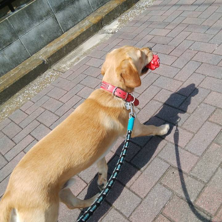 Bac3b372 8647 4ff0 9459 9780b946caa2