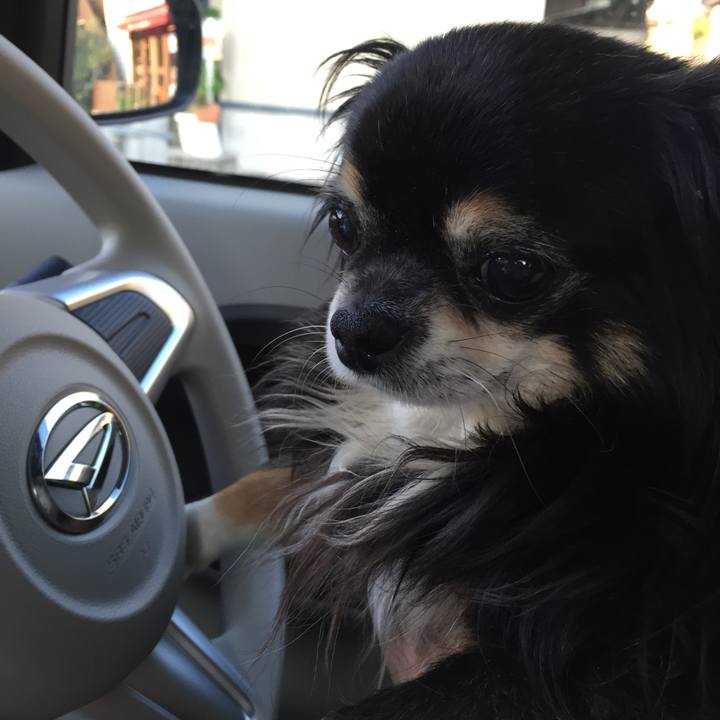 Bac3f42e 161e 40b3 805c 319eaa67c3d6