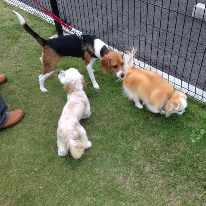 Bac411d0 d436 41da aadf dd0cc9bab772