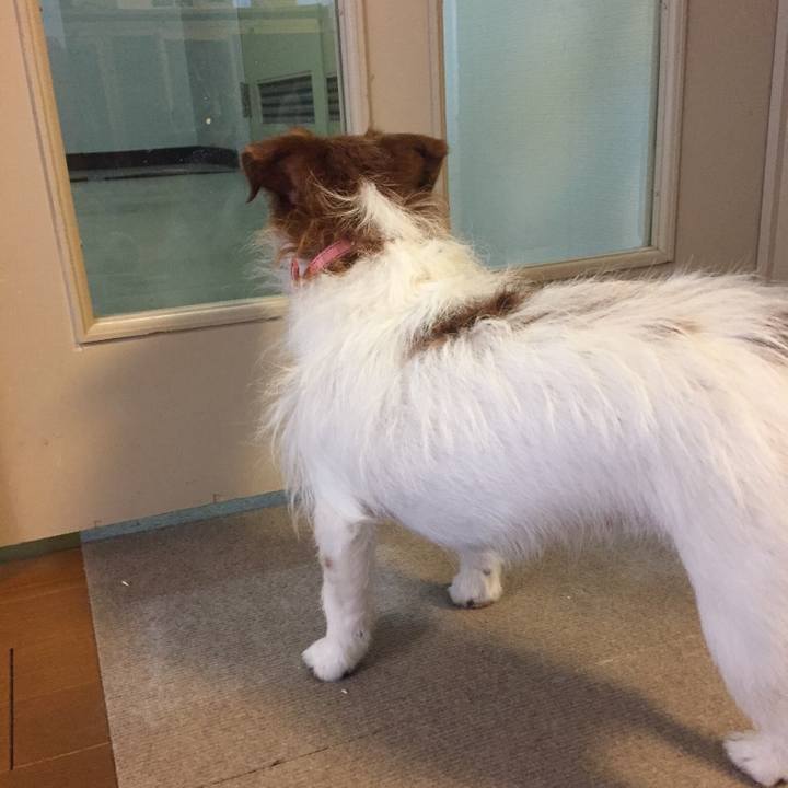 Bac44fed 5ceb 4c84 9eed dae8b5da9775