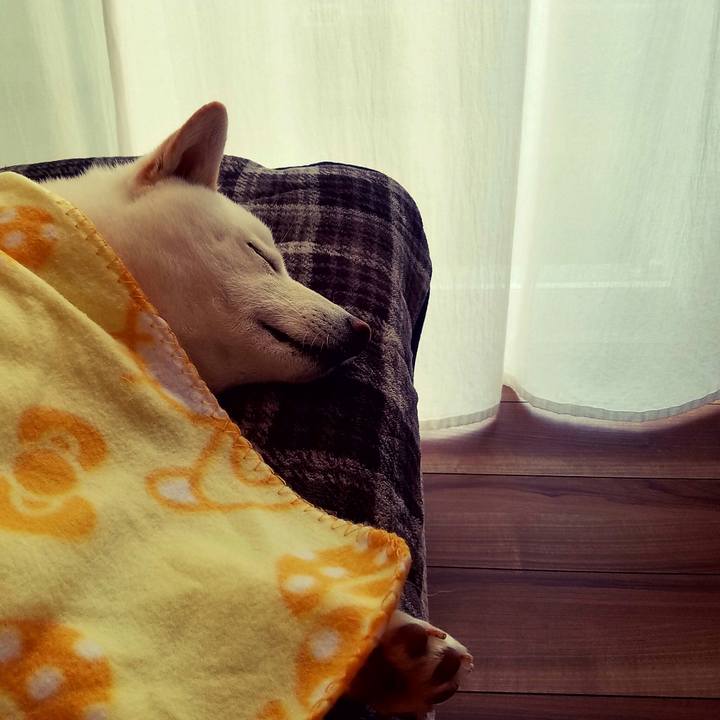 Bac49db4 caac 4cb8 8850 07a2d5cdda81