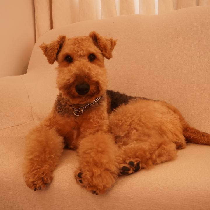 Bac5beb1 1c42 4ac8 ac89 24e87d590dae