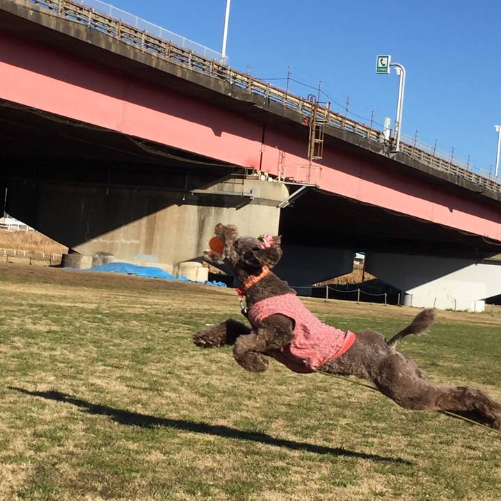 Bac6d392 4f1f 401d a894 2a0497526166