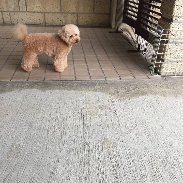 Bac73f46 21f0 4dcf a3ea b40c5602ff1d