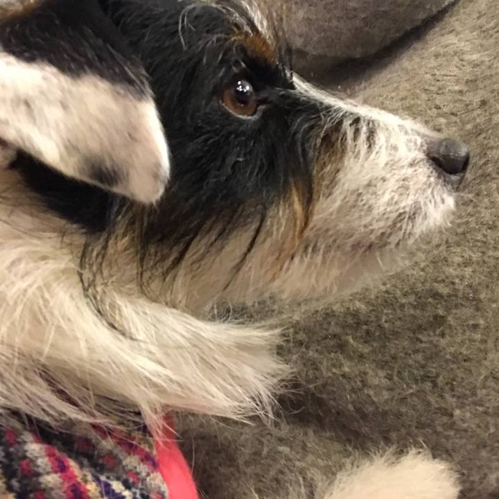 Bac7eb61 6822 44b8 9643 d5c226741afd