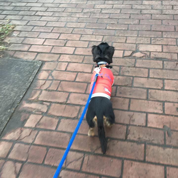 Bac7f901 94c9 4f53 a96f bee61656f99e