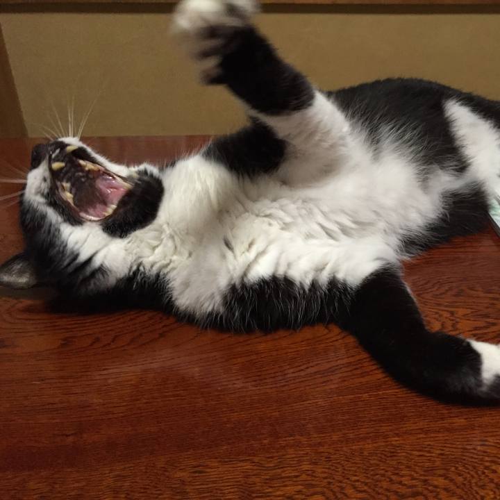 Bac82646 887c 41ec 90c0 65e524566c43