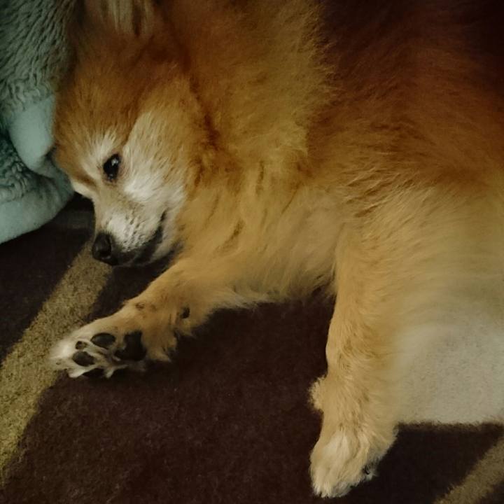 Bac93103 6a9c 4f35 947b cbf528edc8cb