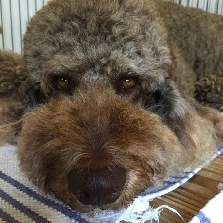 Bac9be08 d4a0 4e06 9f67 ae252f019af4